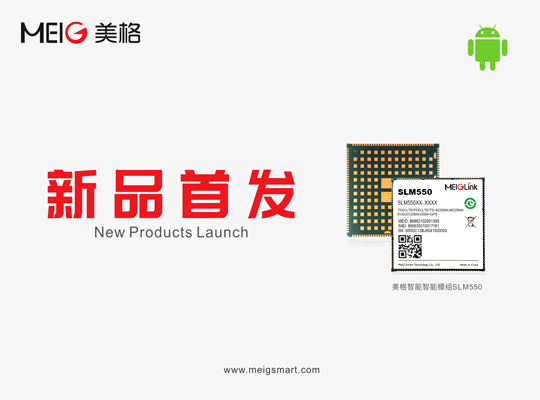 AG庄嫌驻(中国)集团