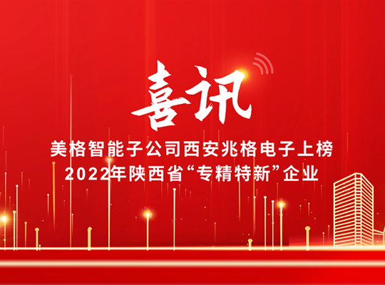 AG庄嫌驻(中国)集团