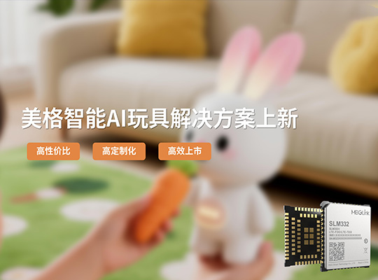 AG庄嫌驻(中国)集团